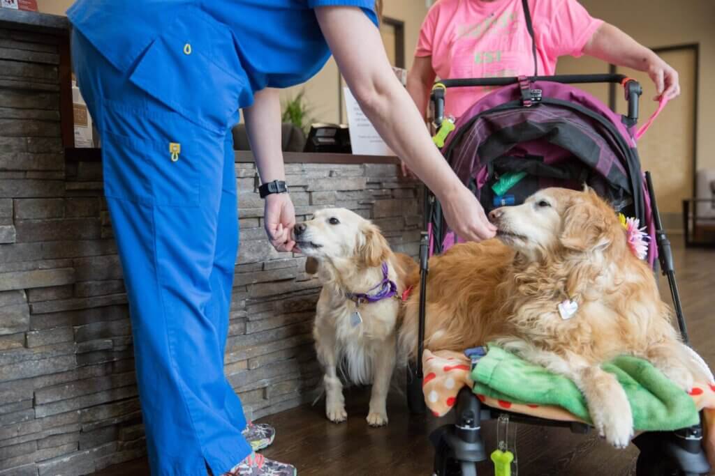 Animal Health Associates - Eugene, Oregon